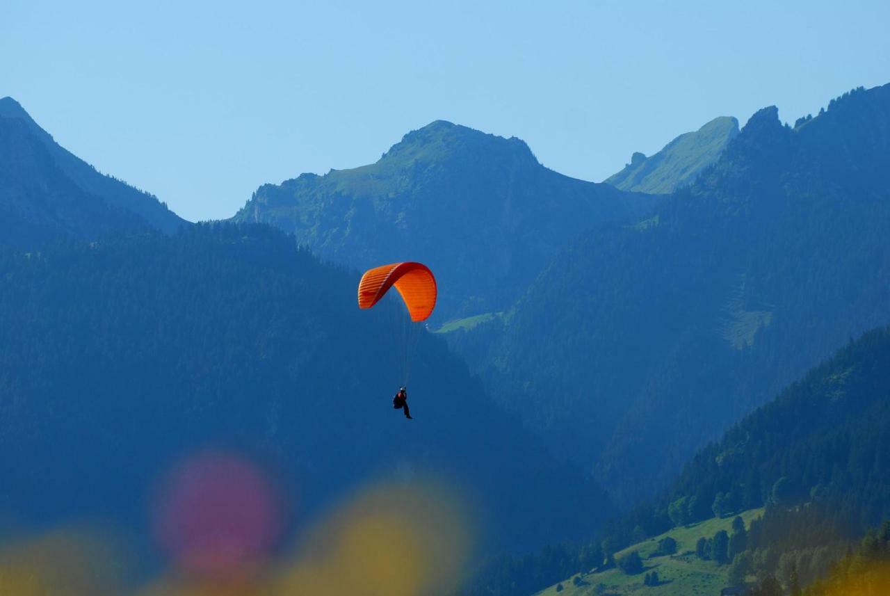 Chalet Peterets Samoëns Εξωτερικό φωτογραφία
