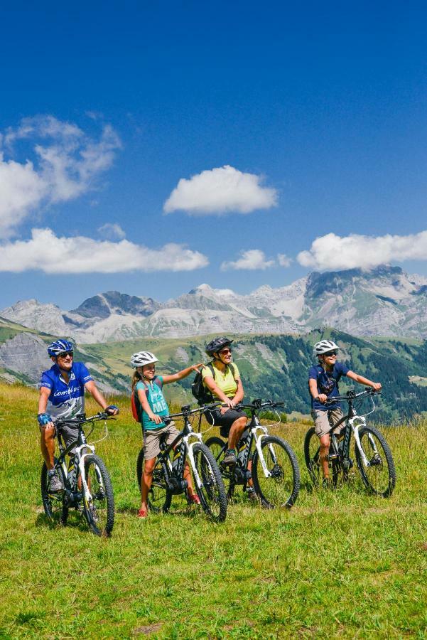 Chalet Peterets Samoëns Εξωτερικό φωτογραφία